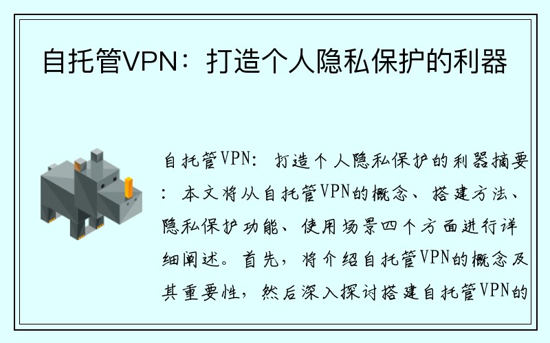 自托管VPN：打造个人隐私保护的利器